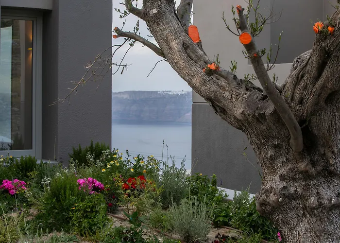 Ξενοδοχείο Melidonia